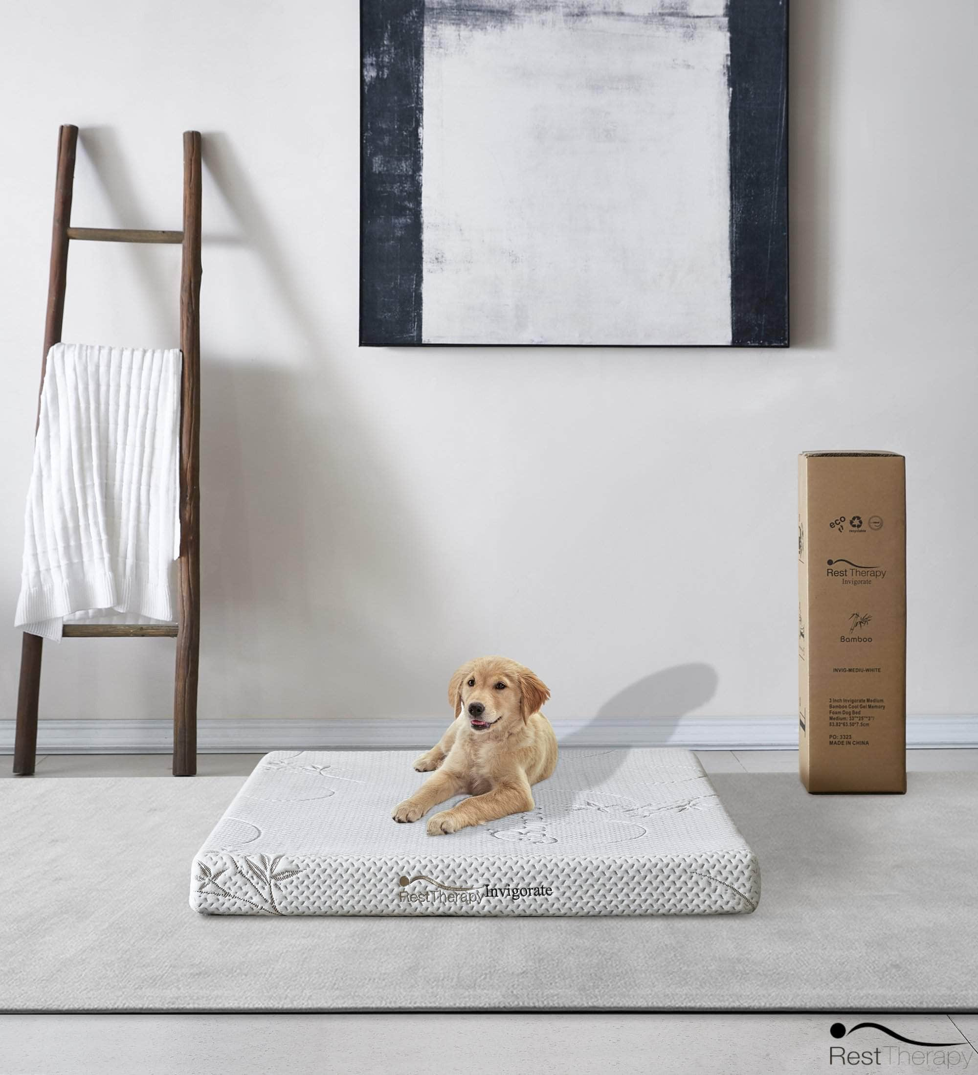 Gel memory shop foam dog bed